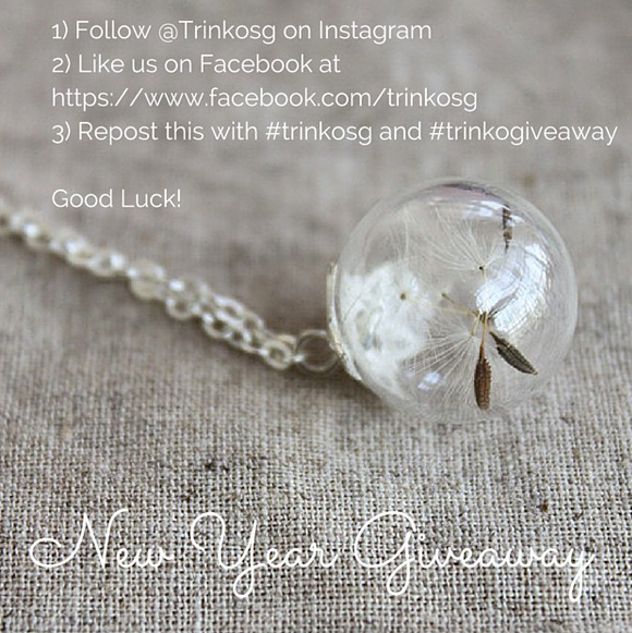 Instagram-New-Year-Giveaway-Campaigns